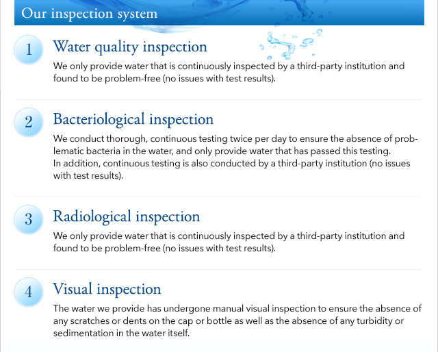 Our inspection system